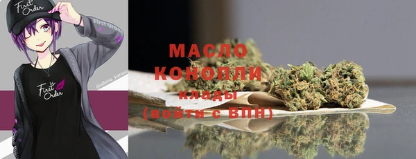 индика Новозыбков