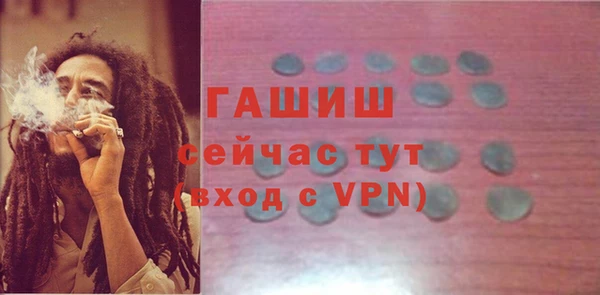 индика Новозыбков