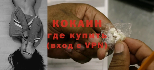 индика Новозыбков