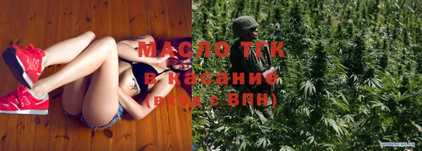 индика Новозыбков