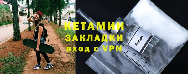 индика Новозыбков