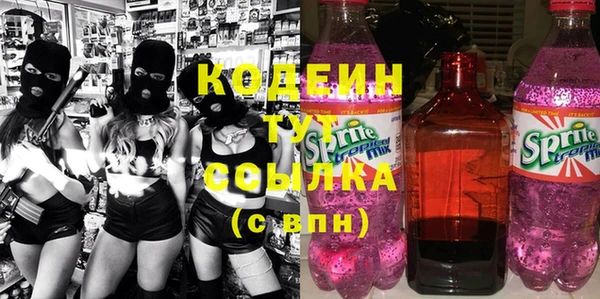 индика Новозыбков