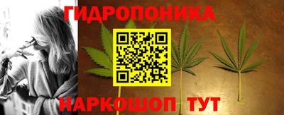 ECSTASY Заводоуковск