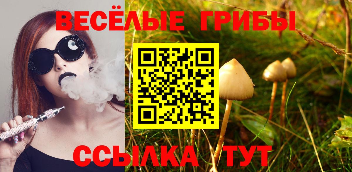 Ревда  Псилоцибиновые грибы Cubensis  Вход с VPN 